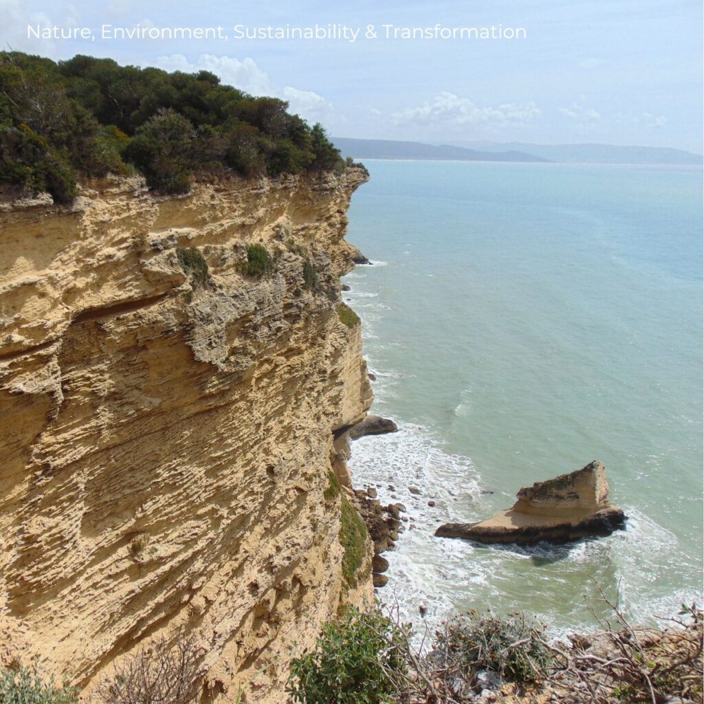 Nature, Environment, Sustainability & Transformation