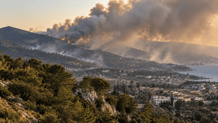 Wildfire